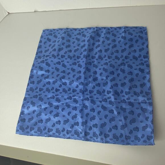 100% SIlk Pocket Squares Lot of 2 Paisley Blue/Purple Simone and Luigi 12.5" - Picture 6 of 8